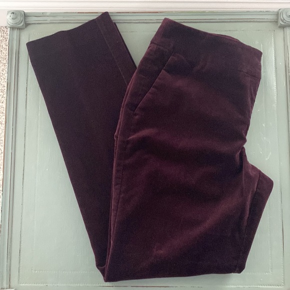 Ann Taylor Factory Pants - Ann Taylor Burgundy Velvet pants